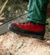 Haix Protector Forest 2.1 GTX mid
